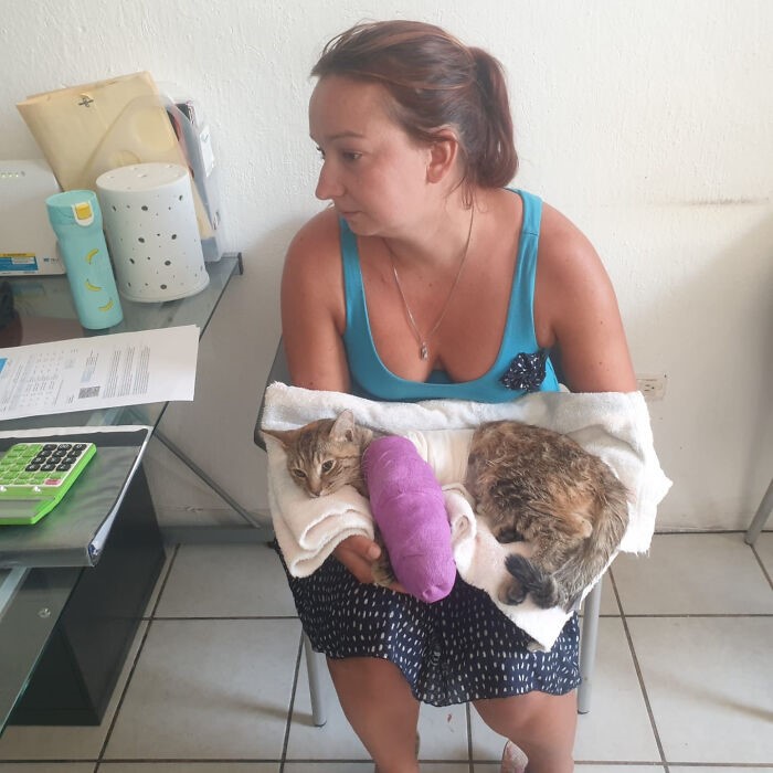 contioutra.com - Casal permanece no México por quase um ano para não abandonar gatinha que adotaram