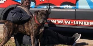 Morador de rua resgatou todos os animais de um abrigo durante incêndio