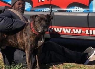 Morador de rua resgatou todos os animais de um abrigo durante incêndio