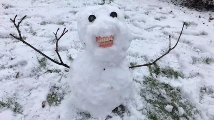contioutra.com - Netinhos usam a dentadura da bisavó para fazer um boneco de neve. O resultado é cômico!