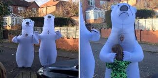 Avós se vestem de ursos para abraçar seus netos após 1 ano sem vê-los