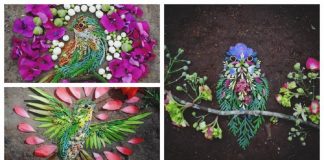 Artista usa folhas e pétalas de flores para criar lindas representações de pássaros
