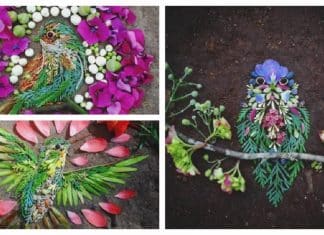 Artista usa folhas e pétalas de flores para criar lindas representações de pássaros