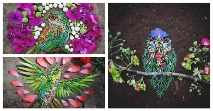 Artista usa folhas e pétalas de flores para criar lindas representações de pássaros
