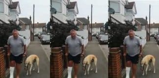 Homem manco gasta R$ 2 mil no veterinário, mas descobre que seu cão apenas o imitava