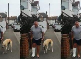 Homem manco gasta R$ 2 mil no veterinário, mas descobre que seu cão apenas o imitava