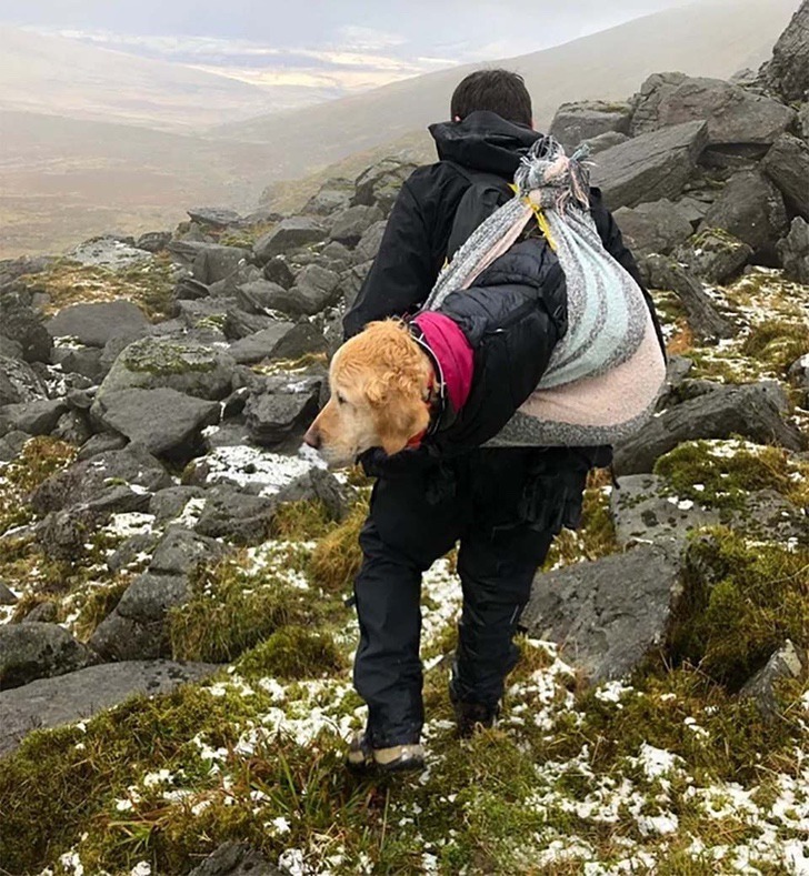 contioutra.com - Alpinistas encontram cachorrinha perdida nas montanhas e a carregam por 10km para trazê-la de volta