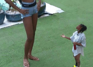 Fabrício Carpinejar aposta nos 100%. Confira a análise dele.