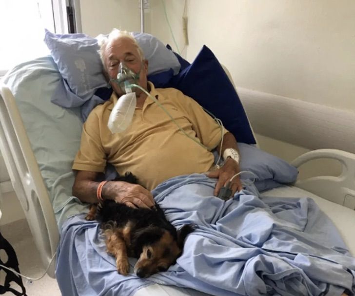 contioutra.com - Idoso recebe sua cachorrinha no hospital antes de falecer de COVID-19. Partiu em paz!