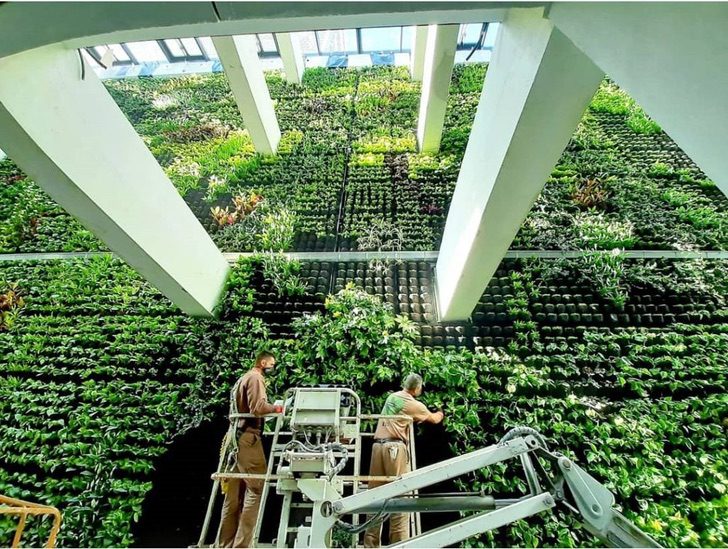 contioutra.com - O maior jardim vertical da Europa está sendo construído em uma antiga fábrica de tabaco na Espanha