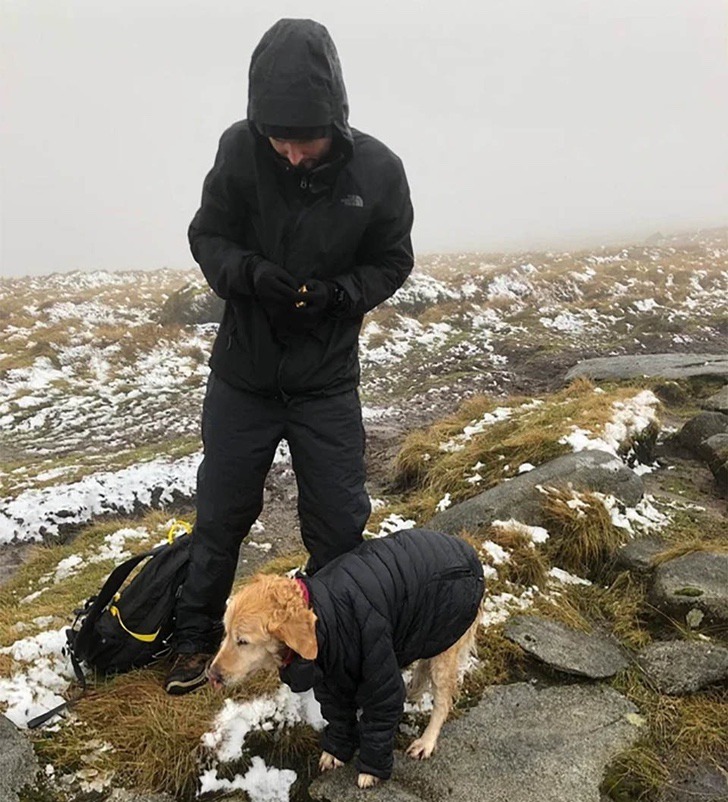 contioutra.com - Alpinistas encontram cachorrinha perdida nas montanhas e a carregam por 10km para trazê-la de volta
