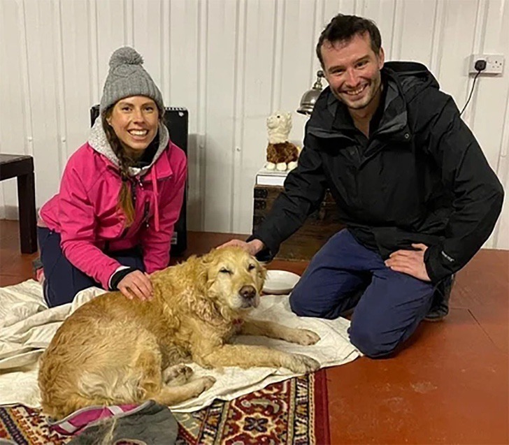 contioutra.com - Alpinistas encontram cachorrinha perdida nas montanhas e a carregam por 10km para trazê-la de volta