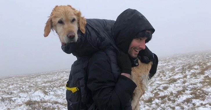 contioutra.com - Alpinistas encontram cachorrinha perdida nas montanhas e a carregam por 10km para trazê-la de volta