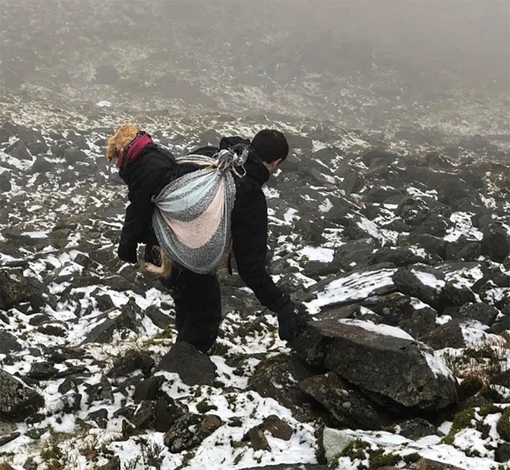 contioutra.com - Alpinistas encontram cachorrinha perdida nas montanhas e a carregam por 10km para trazê-la de volta