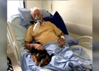 Idoso recebe sua cachorrinha no hospital antes de falecer de COVID-19. Partiu em paz!
