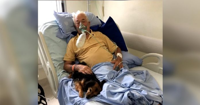 Idoso recebe sua cachorrinha no hospital antes de falecer de COVID-19. Partiu em paz!