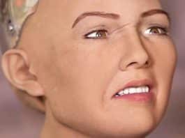 Sophia, a robô que prometeu que destruiria a humanidade, será produzida em massa por empresa