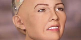 Sophia, a robô que prometeu que destruiria a humanidade, será produzida em massa por empresa
