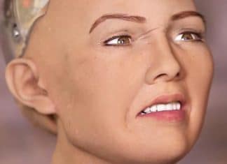 Sophia, a robô que prometeu que destruiria a humanidade, será produzida em massa por empresa
