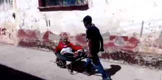 Vídeo mostra filho levando sua mãe de 100 anos em um carrinho de mão para vaciná-la.