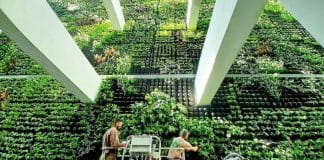 O maior jardim vertical da Europa está sendo construído em uma antiga fábrica de tabaco na Espanha O maior jardim vertical da Europa está sendo construído em uma antiga fábrica de tabaco na Espanha