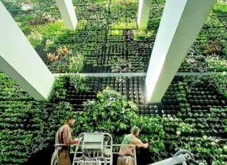 O maior jardim vertical da Europa está sendo construído em uma antiga fábrica de tabaco na Espanha