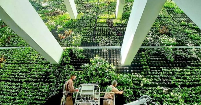 O maior jardim vertical da Europa está sendo construído em uma antiga fábrica de tabaco na Espanha