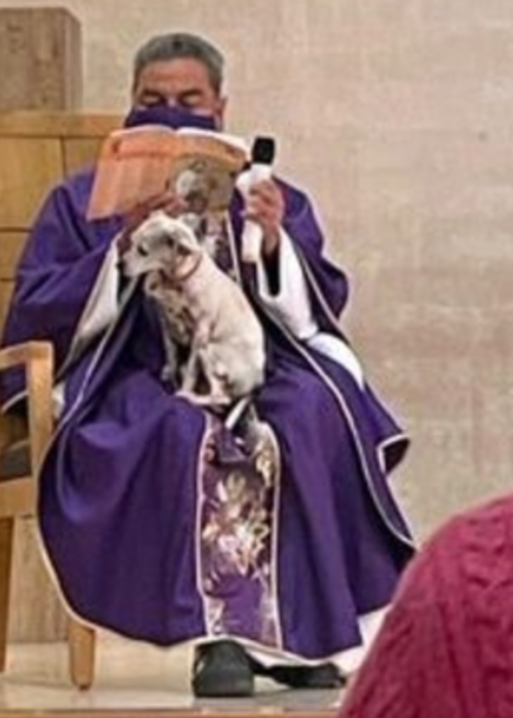 contioutra.com - Padre celebra missa com seu cachorro doente no colo para não deixá-lo sozinho.