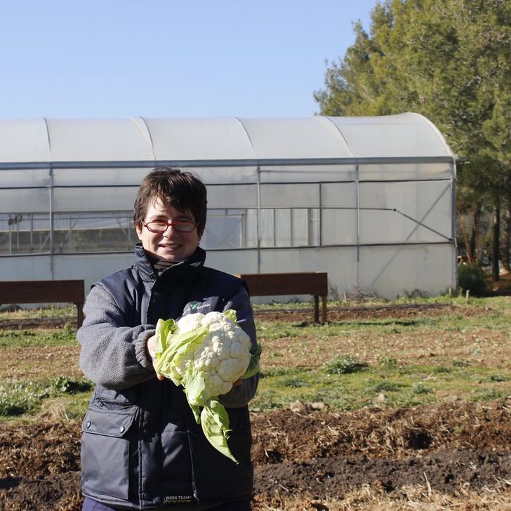 contioutra.com - Empresa de vegetais frescos possui 42% de seus empregados como pessoas com deficiência