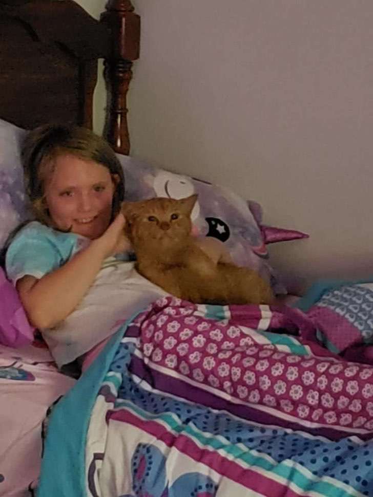 contioutra.com - Mãe percebe que sua filha levou gato desconhecido para casa quando os encontra dormindo juntos