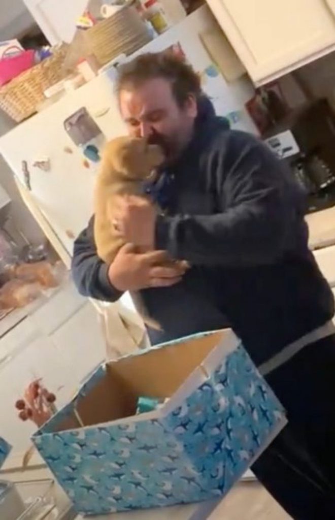 contioutra.com - Recomeço: meses após perder seu animal de estimação, mulher consola o marido com novo cachorrinho