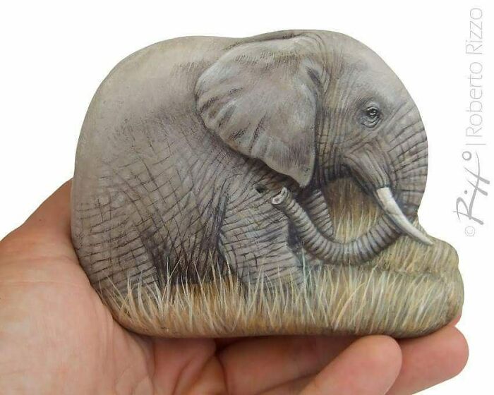 contioutra.com - Artista transforma pedras em pinturas incríveis de animais. Veja 30 fotos.