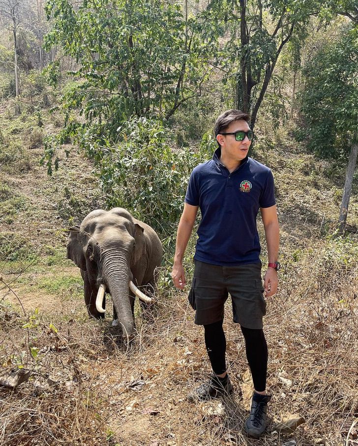 contioutra.com - Elefante tailandês reconhece veterinário que salvou sua vida há 12 anos. Um reencontro inesperado!