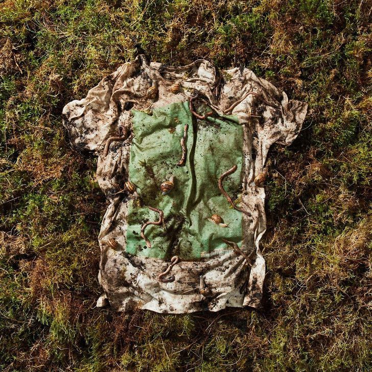 Empresários criam camisetas biodegradáveis que podem ser plantadas e se tornar alimento para o solo contioutra.com - Empresários criam camisetas biodegradáveis que podem ser plantadas e se tornar alimento para o solo