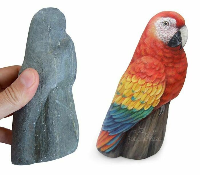 contioutra.com - Artista transforma pedras em pinturas incríveis de animais. Veja 30 fotos.