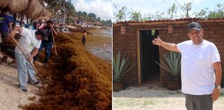Homem fabrica tijolos de algas marinhas para construir casas para quem precisa