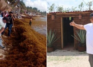 Homem fabrica tijolos de algas marinhas para construir casas para quem precisa