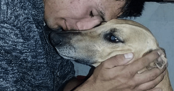 Em desespero após ter seu cão roubado, homem oferece seu carro a quem o encontrar