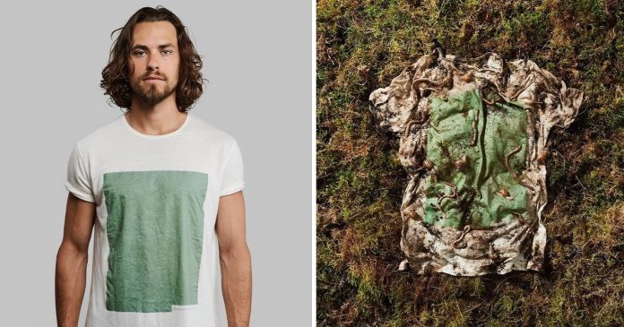 Empresários criam camisetas biodegradáveis ​​que podem ser plantadas e se tornar alimento para o solo