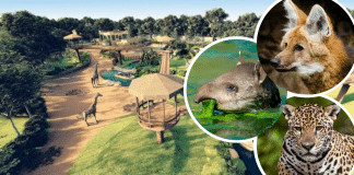 Zoológico mais antigo do Brasil decreta fim do enjaulamento de animais e se torna BioParque