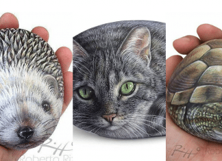 Artista transforma pedras em pinturas incríveis de animais. Veja 30 fotos.