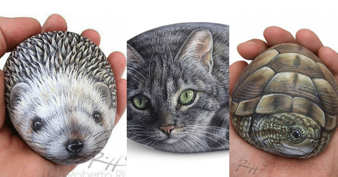 Artista transforma pedras em pinturas incríveis de animais. Veja 30 fotos.