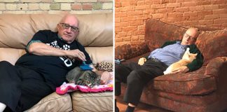 Vovô solitário se voluntaria para cuidar de gatos abandonados, amor mútuo e companhia!