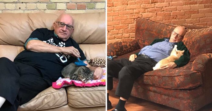 Vovô solitário se voluntaria para cuidar de gatos abandonados, amor mútuo e companhia!