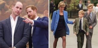 Príncipe Harry confirmou seu afastamento de William e assegurou que Princesa Diana ficaria “brava”