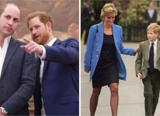 Príncipe Harry confirmou seu afastamento de William e assegurou que Princesa Diana ficaria “brava”