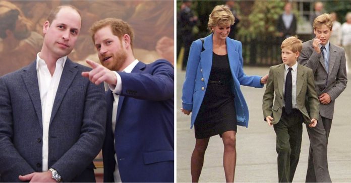 Príncipe Harry confirmou seu afastamento de William e assegurou que Princesa Diana ficaria “brava”