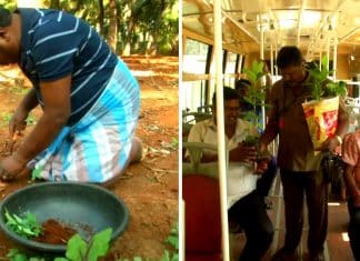 “Guerreiro Ecológico”: Motorista de ônibus plantou 400.000 árvores nos últimos 30 anos