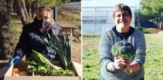 Empresa de vegetais frescos possui 42% de seus empregados como pessoas com deficiência