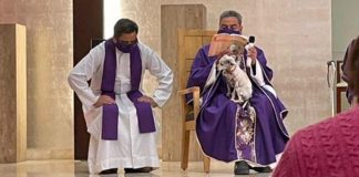 Padre celebra missa com seu cachorro doente no colo para não deixá-lo sozinho.